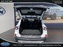 Ford Escape SE 2020