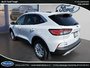 Ford Escape SE 2020