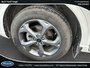 Ford Escape ST-Line 2024
