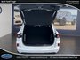 Ford Escape ST-Line Elite 2024