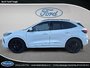 Ford Escape ST-Line Elite 2024