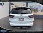Ford Escape ST-Line Elite 2024