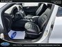 Ford Escape ST-Line Elite 2024