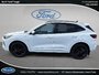 Ford Escape ST-Line Elite 2024