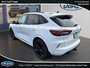 Ford Escape ST-Line Elite 2024