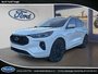 Ford Escape ST-Line Elite 2024