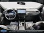 Ford Escape ST-Line Elite 2024