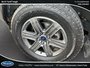 Ford F-150 XLT 2020