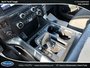 Ford F-150 XLT 2021
