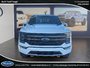 Ford F-150 Tremor 2023