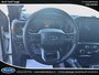 Ford F-150 Tremor 2023