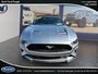 Ford Mustang EcoBoost 2022