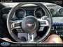 Ford Mustang EcoBoost 2022