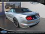 Ford Mustang EcoBoost 2022