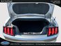 Ford Mustang EcoBoost 2022
