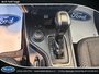 2022 Ford Ranger XLT Live The Ranger Life