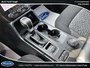 Ford Ranger XLT 2024