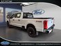 Ford Super Duty F-250 SRW XL 2026