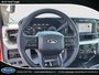 2024 Ford Super Duty F-550 DRW XLT