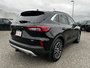 2023 Ford Escape PHEV