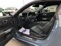 Ford Mustang GT PREMIUM 2024