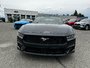 Ford Mustang ECOBOOST PREMIUM 2024