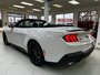 Ford Mustang ECOBOOST 2024