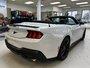 Ford Mustang ECOBOOST 2024