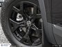 2025 Volkswagen Atlas Peak Edition