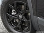 2025 Volkswagen Atlas Peak Edition