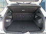 2025 Volkswagen Tiguan Comfortline R-Line Black Edition