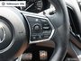 2019 Acura RDX Elite at-17