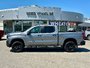 2022 Chevrolet Silverado 1500 LTD LT Trail Boss-2