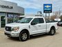 2021 Ford F-150 XLT-0