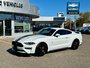 2019 Ford Mustang EcoBoost-0