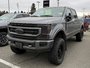 2022 Ford SUPER DUTY F-35 Platinum-0