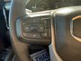 2024 GMC Sierra 1500 Denali-16