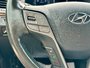 2018 Hyundai Santa Fe XL Limited-22