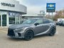 2023 Lexus RX 500h-0