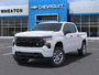 2025 Chevrolet Silverado 1500 Custom-5