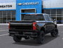 2025 Chevrolet Silverado 1500 LT Trail Boss-3