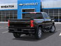 2025 Chevrolet SILVERADO 2500 HD HIGH COUNTRY-3