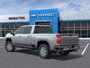 2025 Chevrolet Silverado 3500 HD LT SRW-2