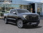 2025 GMC Sierra 1500 DENALI ULTIMATE-6