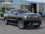 2025 GMC Sierra 1500 DENALI-6
