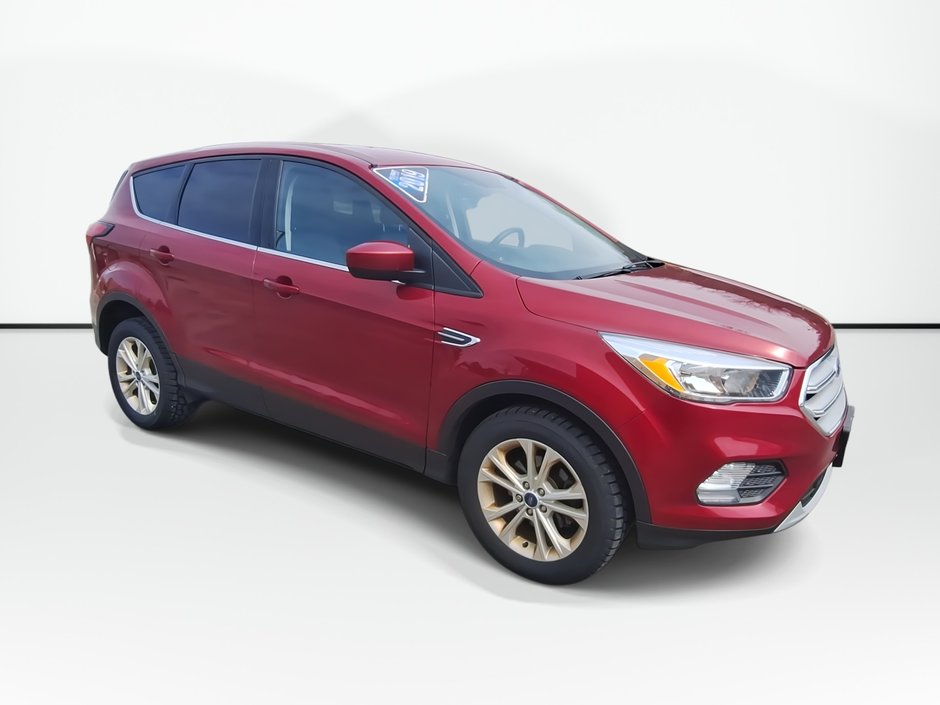 2019 Ford Escape SE | Cam | USB in Saint John, New Brunswick