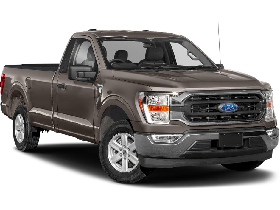 2021 Ford F-150 XLT Reg Cab | 4X4 | Cam | USB in Saint John, New Brunswick