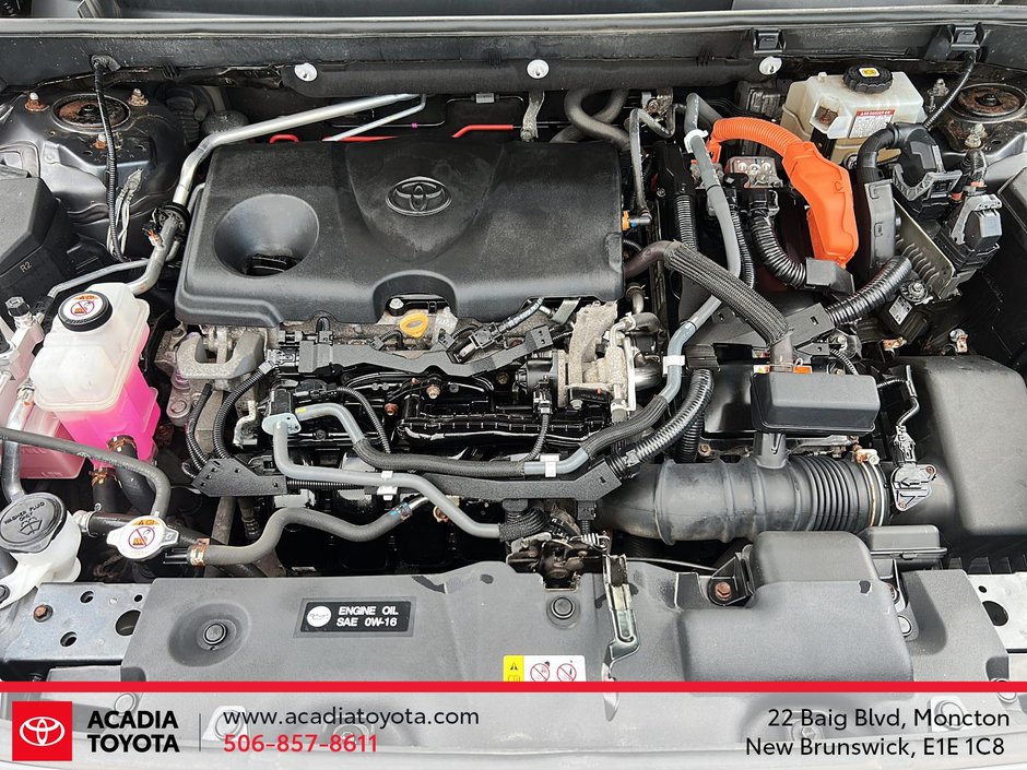 2021 Toyota RAV4 Hybrid XLE-7