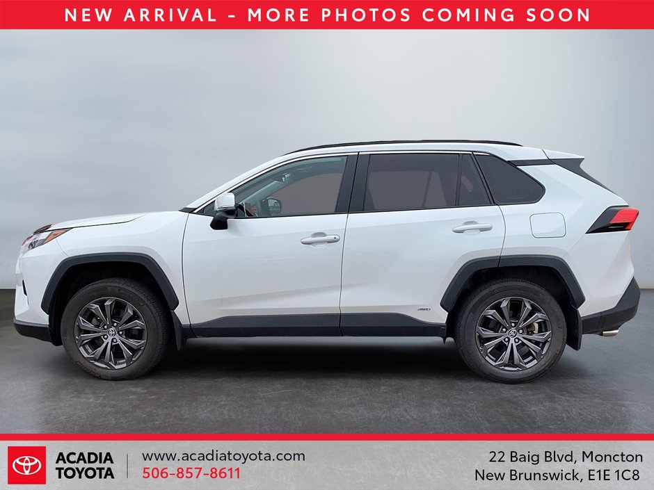 2023 Toyota RAV4 Hybrid XLE-4