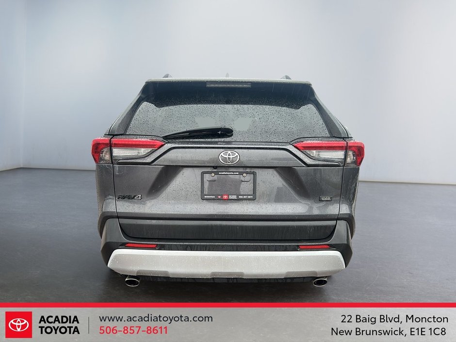2019 Toyota RAV4 Trail-3